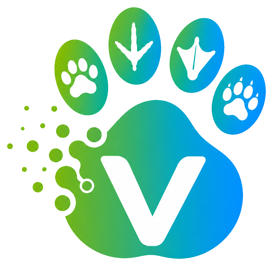 Vetzy